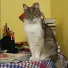 Отзыв от Венера Гончарова